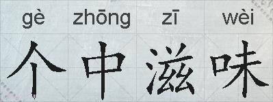 个中滋味的拼音