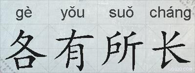 各有所长的拼音