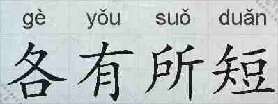 各有所短的拼音