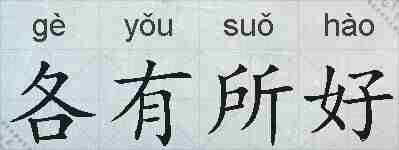 各有所好的拼音