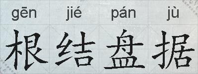 根结盘据的拼音