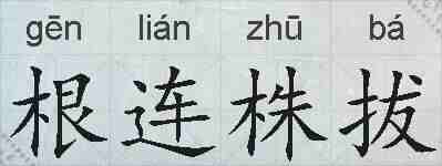 根连株拔的拼音