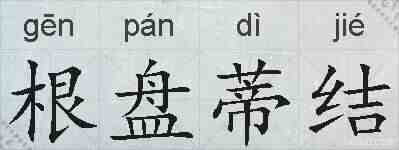 根盘蒂结的拼音