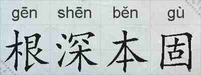 根深本固的拼音