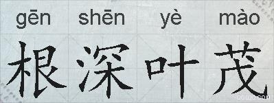 根深叶茂的拼音