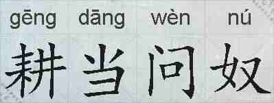 耕当问奴的拼音