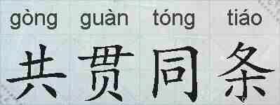 共贯同条的拼音