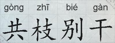 共枝别干的拼音