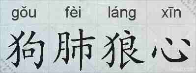 狗肺狼心的拼音