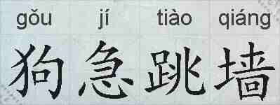 狗急跳墙的拼音