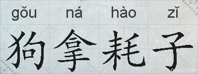 狗拿耗子的拼音