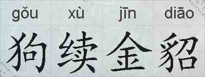 狗续金貂的拼音