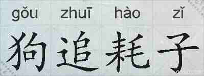 狗追耗子的拼音