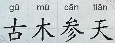 古木参天的拼音