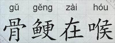 骨鲠在喉的拼音