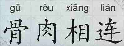 骨肉相连的拼音