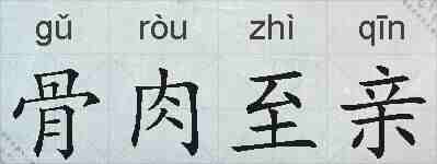 骨肉至亲的拼音