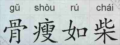 骨瘦如柴的拼音