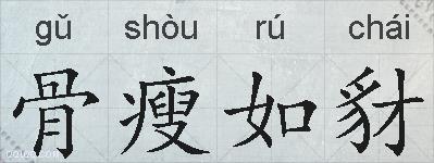 骨瘦如豺的拼音