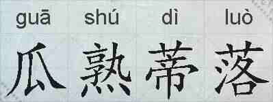 瓜熟蒂落的拼音