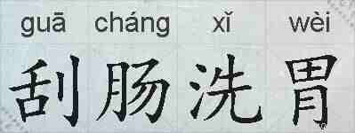 刮肠洗胃的拼音