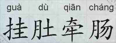 挂肚牵肠的拼音