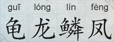 龟龙鳞凤的拼音