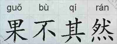 果不其然的拼音
