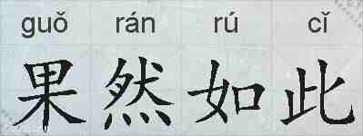 果然如此的拼音