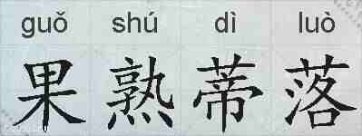 果熟蒂落的拼音