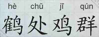鹤处鸡群的拼音