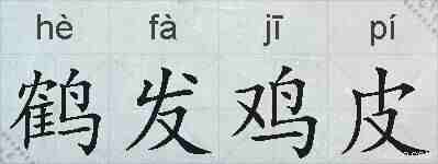 鹤发鸡皮的拼音