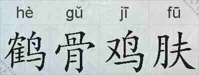 鹤骨鸡肤的拼音