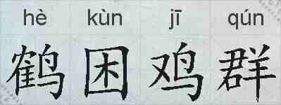 鹤困鸡群的拼音