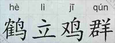 鹤立鸡群的拼音