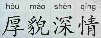 厚貌深情的拼音