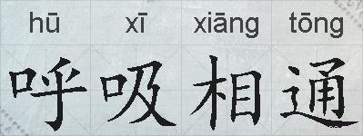 呼吸相通的拼音