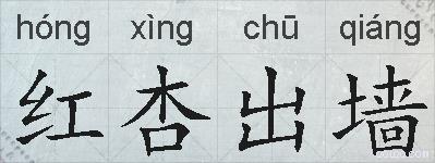 红杏出墙的拼音