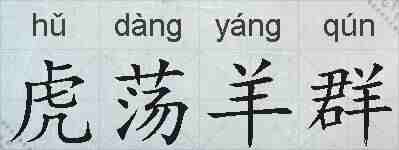虎荡羊群的拼音