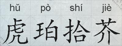 虎珀拾芥的拼音
