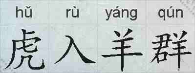 虎入羊群的拼音
