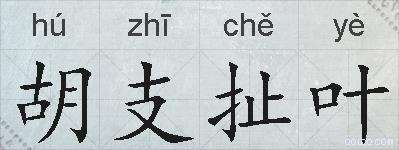 胡支扯叶的拼音