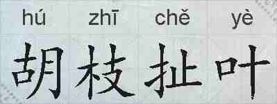 胡枝扯叶的拼音