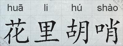 花里胡哨的拼音
