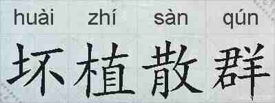 坏植散群的拼音