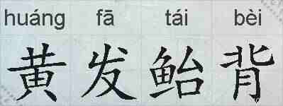 黄发鲐背的拼音