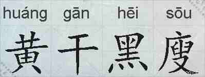 黄干黑廋的拼音