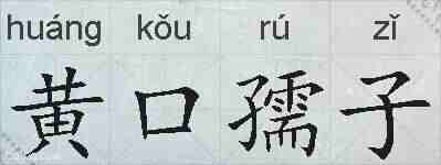 黄口孺子的拼音