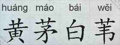 黄茅白苇的拼音