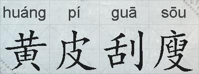 黄皮刮廋的拼音